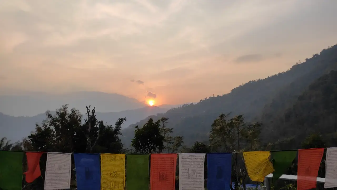 Hillstop Chaha Moment 16