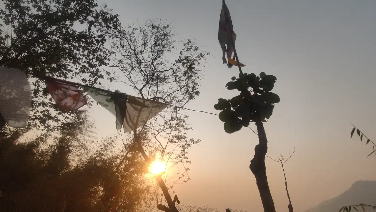 Hillstop Chaha Moment 17