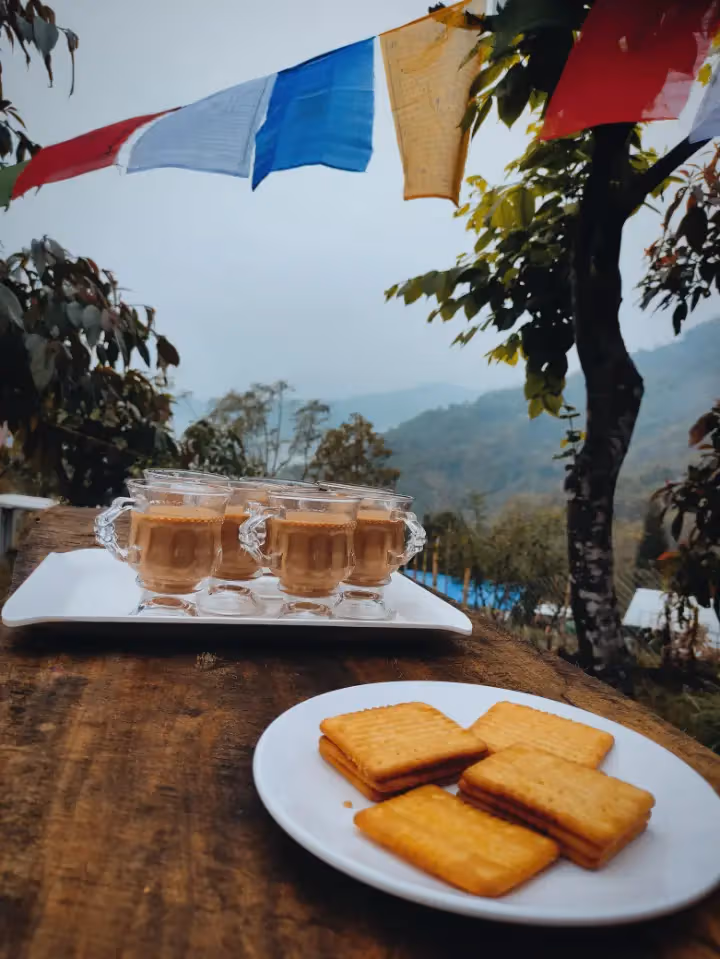 Hillstop Chaha Moment 12