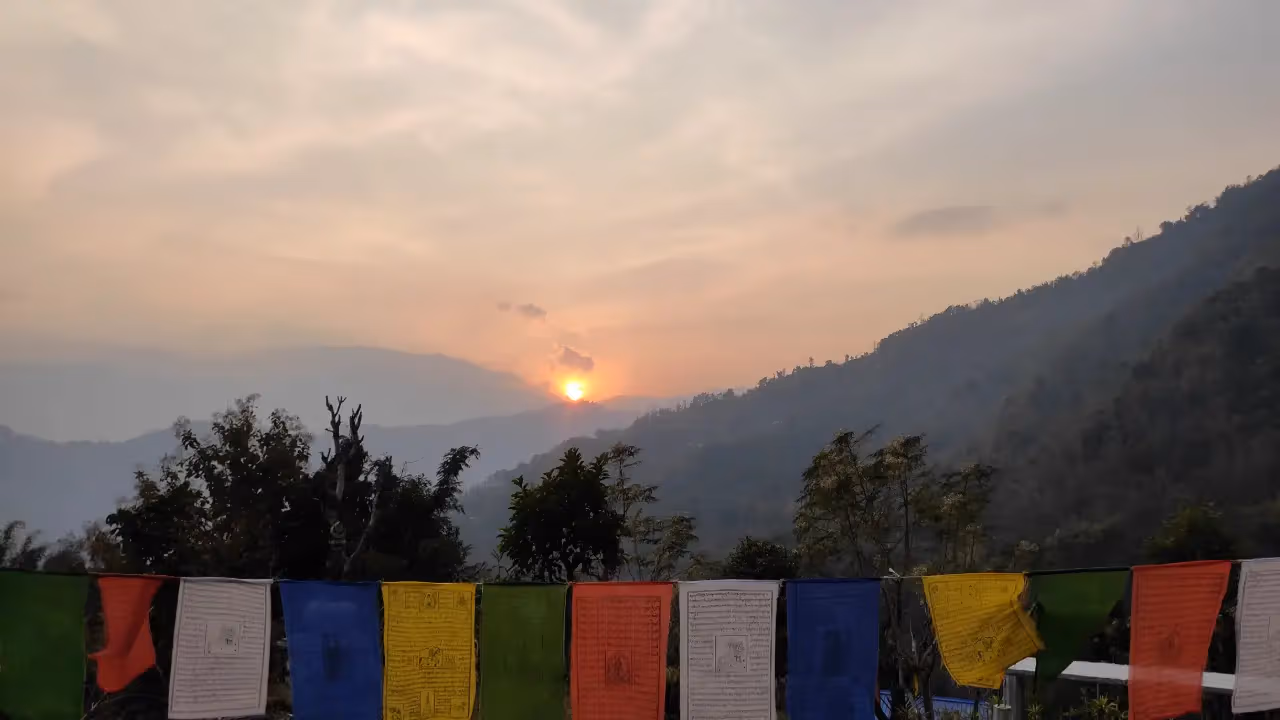 Hillstop Chaha Moment 16